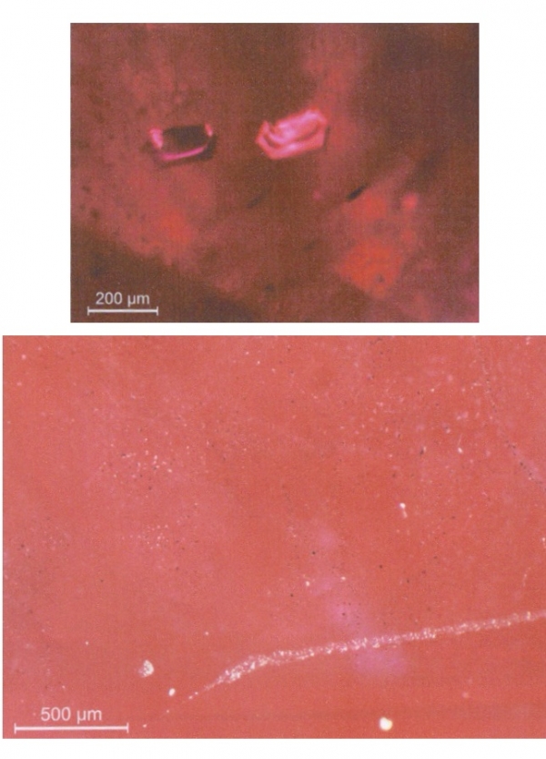 Image 4: Under microscopic analysis it was revealed that the inclusions were biphase (solid/gas) and contained hexagonal platelets (top) and silver grey particles (bottom). This proved the ruby to be a synthetic origin grown by flux method. Image courtesy: Dr T. Hainschwang, PhD, DUG, GGTL Laboratories Liechtenstein.